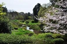 旧砂取細川庭園　春